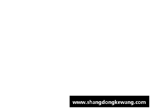 球场之星：1号球员的辉煌征程